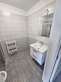 Pronájem bytu 1+kk v osobním vlastnictví 35 m², Benešov