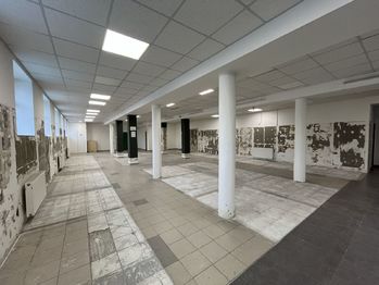 Pronájem skladovacích prostor 555 m², Vsetín