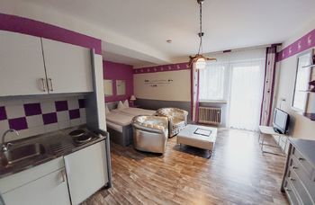 Prodej bytu 1+kk v osobním vlastnictví 26 m², Železná Ruda