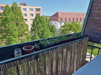 Výhled z balkonu - Prodej bytu 3+1 v osobním vlastnictví 60 m², Rosice