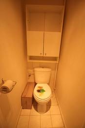 WC - Pronájem bytu 3+1 v osobním vlastnictví 51 m², České Budějovice