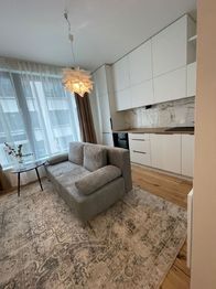 Možnost zařídit takto byt + 450 000 Kč + DPH k ceně vizuál 2 - Prodej bytu 1+kk v osobním vlastnictví 28 m², Praha 8 - Karlín