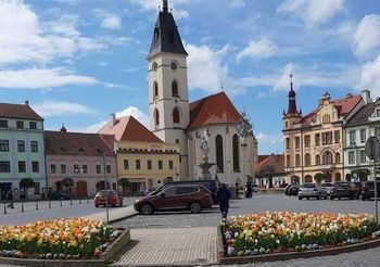 Prodej pozemku 1124 m², Vodňany