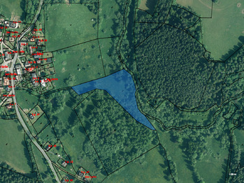 KM - 22.05.2024 - Prodej pozemku 10994 m², Rejštejn 