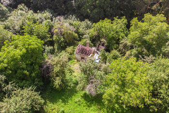 Prodej pozemku 3687 m², Kostelec nad Černými lesy