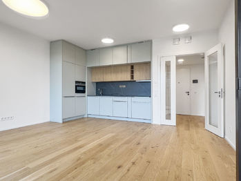 Pronájem bytu 2+kk v osobním vlastnictví 62 m², Praha 5 - Smíchov