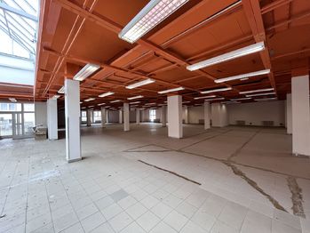 Pronájem obchodních prostor 600 m², Pelhřimov