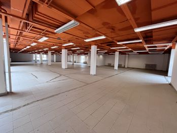 Pronájem obchodních prostor 600 m², Pelhřimov