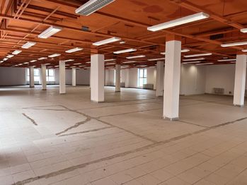 Pronájem obchodních prostor 600 m², Pelhřimov