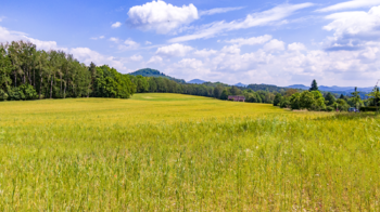 Prodej pozemku 41666 m², Huntířov