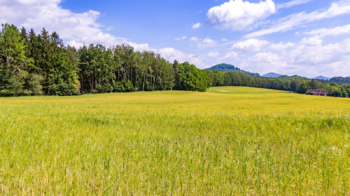 Prodej pozemku 41666 m², Huntířov