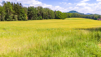 Prodej pozemku 41666 m², Huntířov