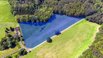 Prodej pozemku 41666 m², Huntířov