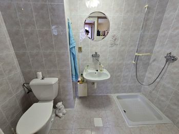 Prodej domu 215 m², Větrný Jeníkov