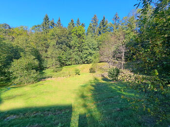 Prodej chaty / chalupy 80 m², Železný Brod