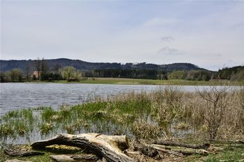 Prodej pozemku 1207 m², Křinice