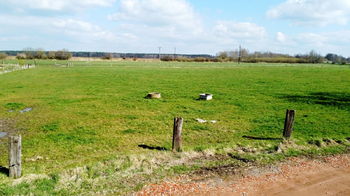 Prodej pozemku 5590 m², Lomnice nad Lužnicí