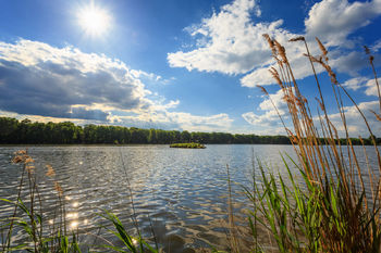 Prodej pozemku 5590 m², Lomnice nad Lužnicí