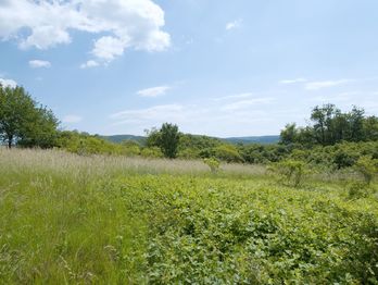 Prodej pozemku 4332 m², Štěchovice