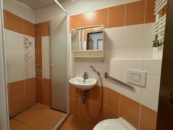 Prodej domu 230 m², Olomouc