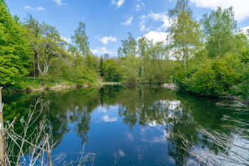 Prodej pozemku 28310 m², Střítež