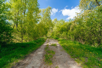 Prodej pozemku 28310 m², Střítež