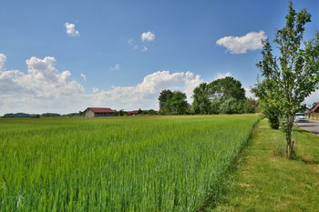 Prodej pozemku 1200 m², Ledce