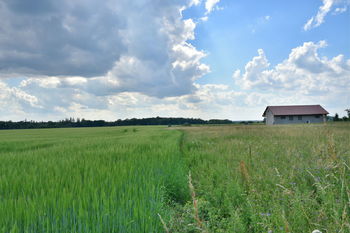 Prodej pozemku 1200 m², Ledce