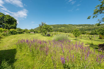 Prodej pozemku 1832 m², Pavlov