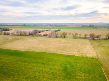 Prodej pozemku 16797 m², Záryby