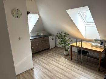 Prodej jiných prostor 418 m², Krahulov