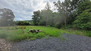 Prodej pozemku 2811 m², Lužice