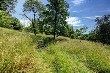 Prodej zemědělského objektu 1280 m², Letovice