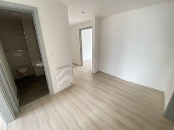 Pronájem bytu 3+kk v osobním vlastnictví 113 m², Plzeň