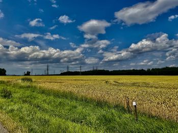 Prodej pozemku 13145 m², Čejkovice