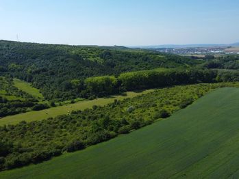 Prodej pozemku 4095 m², Hustopeče