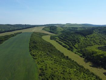 Prodej pozemku 4095 m², Hustopeče