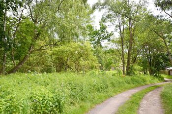 Prodej pozemku 7221 m², Lázně Kynžvart