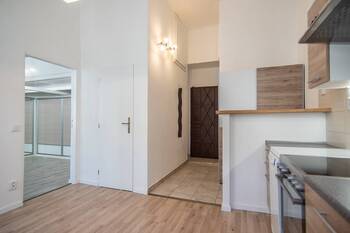 Pronájem bytu 1+1 v družstevním vlastnictví 44 m², Praha 3 - Žižkov