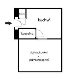 Pronájem bytu 1+1 v družstevním vlastnictví 44 m², Praha 3 - Žižkov