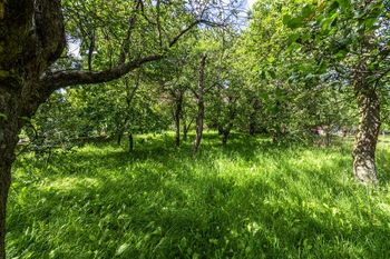 zahrada / sad - Prodej chaty / chalupy 109 m², Kdousov