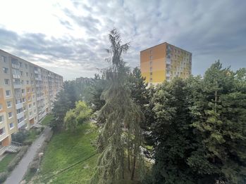 Prodej bytu 1+1 v družstevním vlastnictví 36 m², Chomutov