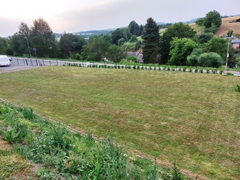 Plocha je rovná. - Pronájem pozemku 200 m², Dražice