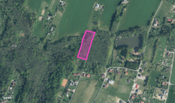 Prodej pozemku 5946 m², Dětmarovice