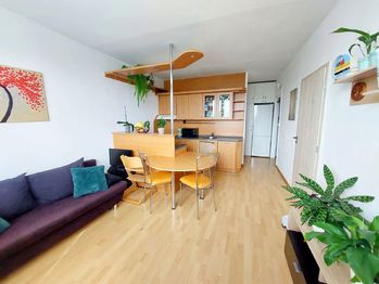 Pronájem bytu 2+1 v osobním vlastnictví 36 m², Smiřice