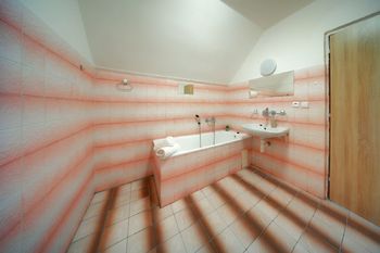 Obytné podkroví - koupelna - Prodej domu 180 m², Dolany