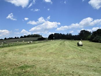 Prodej pozemku 10538 m², Telč