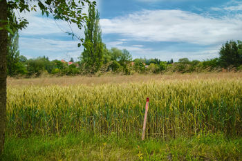 Prodej pozemku 1217 m², Kolešovice