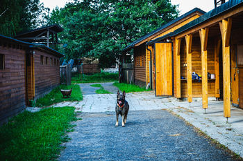 Prodej zemědělského objektu 48 m², Baška