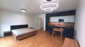 Interiér - Pronájem bytu 1+kk v osobním vlastnictví 43 m², Praha 3 - Žižkov